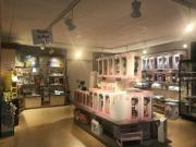 6-a-Boutique